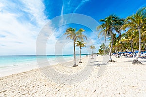 Paradise Beach (also known for Playa Paraiso) at sunny summer day - beautiful and tropical caribbean coast at Tulum in Quintana