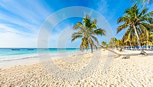 Paradise Beach (also known for Playa Paraiso) at sunny summer day - beautiful and tropical caribbean coast at Tulum in Quintana