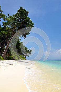 Paradise beach at Andaman and Nicobar Island, India