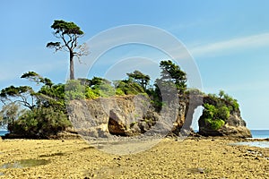 Paradise beach at Andaman and Nicobar Island, India