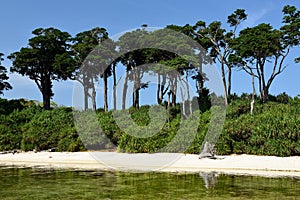 Paradise beach at Andaman and Nicobar Island, India