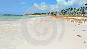 Paradise beach in Bavaro Punta Cana Dominican Republic photo