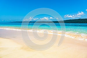 Paradise beach beautiful white sand with palm tree in the resort