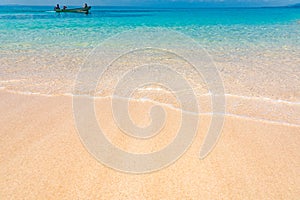 Paradise beach beautiful white sand with palm tree in the resort