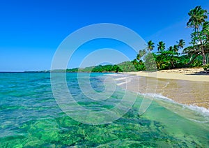 Paradise beach beautiful white sand with palm tree in the resort