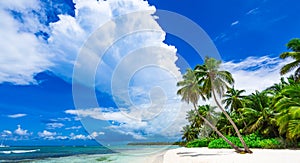 Paradise beach beautiful white sand with palm tree in the resort