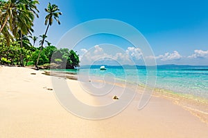 Paradise beach beautiful white sand with palm tree in the resort