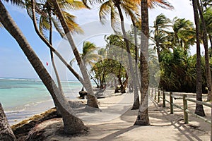 Paradise beach in Carribean