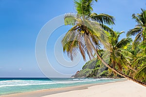 Paradise beach with coconut palms over white sand and turquoise sea on exotic island.