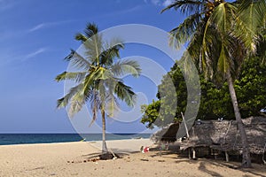 Paradise beach and coconut trees at Uppuveli, Sri Lanka