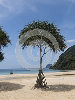 Paradise beach at Koh Mook Island, Thailand