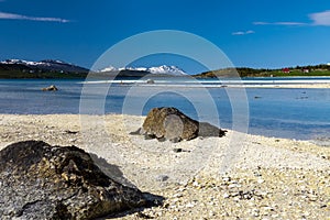 Paradise beach of Lofoten