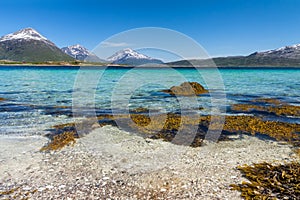 Paradise beach of Lofoten