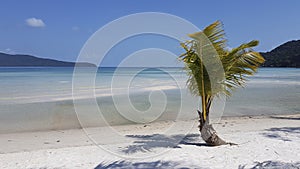 Paradise beach with palm tree Koh Rong Samloem Cambodia