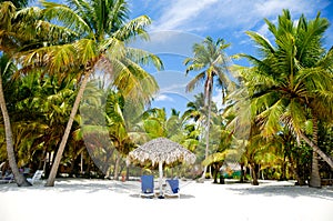 Paradise beach with palms and sunbeds