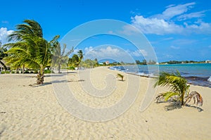 Paradise beach in Placencia, tropical coast of Belize, Caribbean Sea, Central America