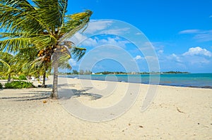 Paradise beach in Placencia, tropical coast of Belize, Caribbean Sea, Central America