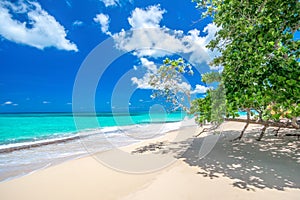 Paradiso Spiaggia uno da 10 spiagge caraibico domenicano 