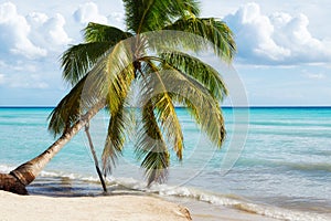 Paradise beach in Saona island, Dominican Republic