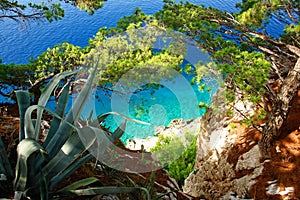 A paradise beach seen from above, green vegetation.