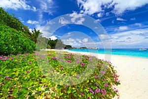 Paradise beach of Similan islands