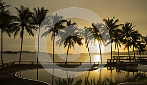 Paradise beach sunset or sunrise with tropical palm trees, Thailand