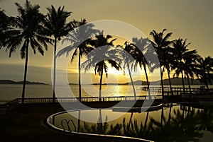 Paradise beach sunset or sunrise with tropical palm trees, Thailand