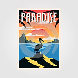 Paradise beach vintage poster vector pelican bird illustration design
