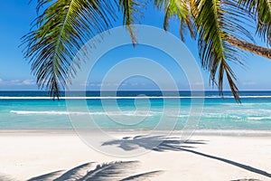 Paradise beach with white sand and coco palms.