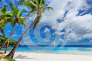 Paradise Caribbean Beach