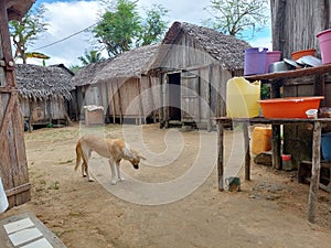 Island Bliss: Exploring the Peaceful Village Life of Madagascar's Tropical Paradise