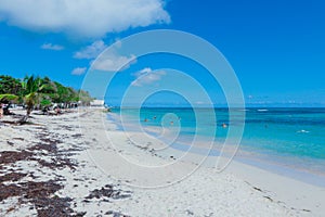 Paradise Guadeloupe beach with the white Sand, Green Palm Trees and Blue Ocean Water