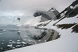 Paradise harbour Antarctic peninsula