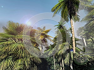 Paradise on Hawaii Island 3d rendering