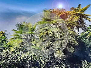 Paradise on Hawaii Island 3d rendering