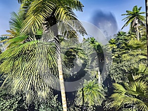 Paradise on Hawaii Island 3d rendering