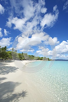 Paradise Idyllic Caribbean Beach Virgin Islands Vertical