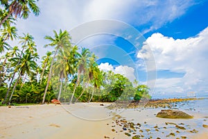 Paradise idyllic sea beach with coconut palm tree