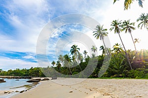 Paradise idyllic sea beach with coconut palm tree