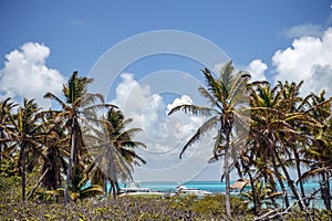 Paradise Island of Contoy. View of a pleasure yachts