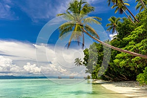 Paradise island -  landscape of tropical beach - calm ocean, palm trees, blue sky