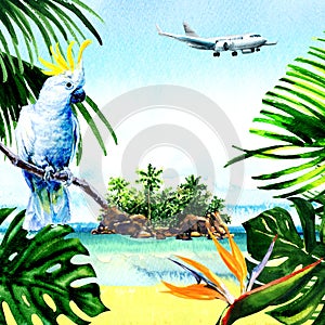 Paradise island with palm trees, through green tropic leaves and flowers with parrot, flying airplane on sky, summer