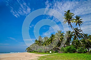 Paradise island. Sri Lanka.