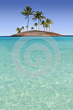 Paradise palm tree island tropical turquoise beach