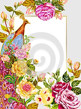 Paradise Phoenix bird Peacock Firebird with Rose botanical blossom blooming carden tribal folk traditional frame border banner