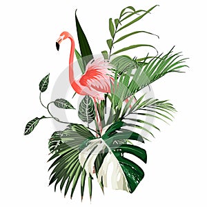 Paradise pink flamingo birds with exotic leaves. Card template composition.