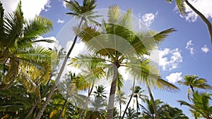 Paradise place. Beach Takamaka, Mahe island, Seychelles