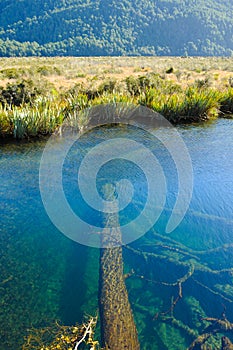 Paradise places in New Zealand / Lake Teanua