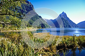 Paradise places in New Zealand / Lake Teanua / Milford Sound