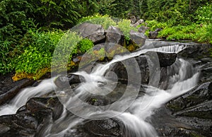 Paradise River in Mount Rainier National Park, Washington State.